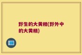 野生的大黄精(野外中的大黄精)