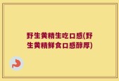 野生黄精生吃口感(野生黄精鲜食口感醇厚)