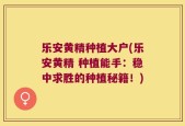 乐安黄精种植大户(乐安黄精 种植能手：稳中求胜的种植秘籍！)