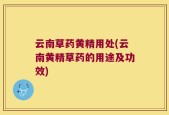 云南草药黄精用处(云南黄精草药的用途及功效)