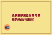 桑黄和黄精(桑黄与黄精的功效与用途)