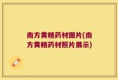 南方黄精药材图片(南方黄精药材照片展示)