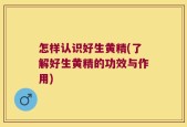 怎样认识好生黄精(了解好生黄精的功效与作用)