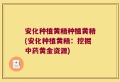 安化种植黄精种植黄精(安化种植黄精：挖掘中药黄金资源)