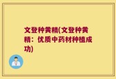 文登种黄精(文登种黄精：优质中药材种植成功)