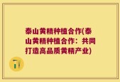 泰山黄精种植合作(泰山黄精种植合作：共同打造高品质黄精产业)