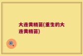 大连黄精苗(重生的大连黄精苗)