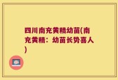 四川南充黄精幼苗(南充黄精：幼苗长势喜人)