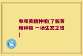 参观黄精种植(了解黄精种植 一场生态之旅)