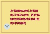 小黄精的功效(小黄精的药效及功效：百合科植物提取物对身体好处的科学解释)