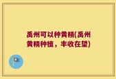 禹州可以种黄精(禹州黄精种植，丰收在望)