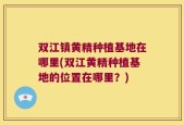 双江镇黄精种植基地在哪里(双江黄精种植基地的位置在哪里？)