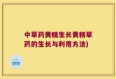 中草药黄精生长黄精草药的生长与利用方法)