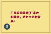 厂里收购黄精(厂家收购黄精，助力中药材发展)