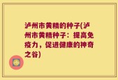 泸州市黄精的种子(泸州市黄精种子：提高免疫力，促进健康的神奇之谷)