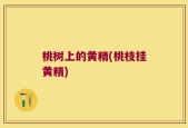 桃树上的黄精(桃枝挂黄精)