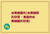 水黄精图片(水黄精照片欣赏 - 美丽的水黄精图片欣赏)