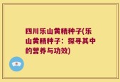 四川乐山黄精种子(乐山黄精种子：探寻其中的营养与功效)
