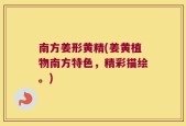 南方姜形黄精(姜黄植物南方特色，精彩描绘。)