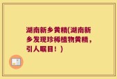 湖南新乡黄精(湖南新乡发现珍稀植物黄精，引人瞩目！)