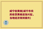 咸宁收黄精(咸宁市农民收获黄精逐渐兴起，当地经济得到提升)