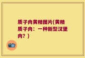 质子肉黄精图片(黄精质子肉：一种新型汉堡肉？)