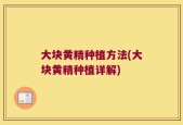 大块黄精种植方法(大块黄精种植详解)