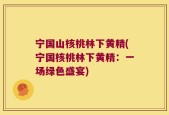 宁国山核桃林下黄精(宁国核桃林下黄精：一场绿色盛宴)