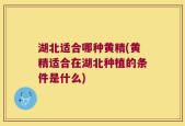 湖北适合哪种黄精(黄精适合在湖北种植的条件是什么)
