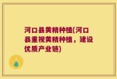 河口县黄精种植(河口县重视黄精种植，建设优质产业链)
