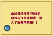 曲靖黄精作用(黄精的功效与作用大解密，深入了解曲靖黄精！)