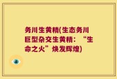 务川生黄精(生态务川巨型杂交生黄精：“生命之火”焕发辉煌)