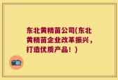 东北黄精苗公司(东北黄精苗企业改革振兴，打造优质产品！)