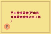 芦山种植黄精(芦山县开展黄精种植试点工作)