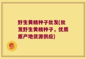 野生黄精种子批发(批发野生黄精种子，优质原产地货源供应)