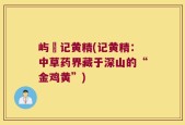 屿璟记黄精(记黄精：中草药界藏于深山的“金鸡黄”)