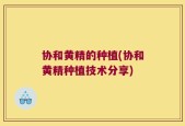 协和黄精的种植(协和黄精种植技术分享)
