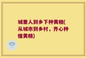 城里人到乡下种黄精(从城市到乡村，齐心种植黄精)