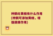 种鹅吃黄精有什么作用(种鹅可添加黄精，增强健康作用)