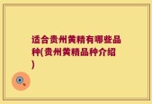 适合贵州黄精有哪些品种(贵州黄精品种介绍)