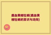 鹿血黄精牡蛎(鹿血黄精牡蛎的常识与功效)