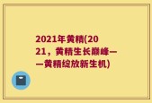 2021年黄精(2021，黄精生长巅峰——黄精绽放新生机)
