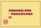 滇黄精种植地(滇黄精：种植地选择及种植技术)