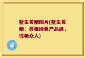 墅生黄精图片(墅生黄精：亮相绿色产品展，惊艳众人)