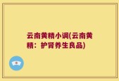 云南黄精小调(云南黄精：护肾养生良品)
