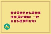卷叶黄精百合科黄精属植物(卷叶黄精：一种百合科植物的介绍)