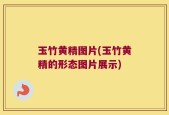 玉竹黄精图片(玉竹黄精的形态图片展示)