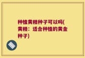 种植黄精种子可以吗(黄精：适合种植的黄金种子)