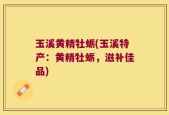 玉溪黄精牡蛎(玉溪特产：黄精牡蛎，滋补佳品)
