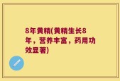 8年黄精(黄精生长8年，营养丰富，药用功效显著)